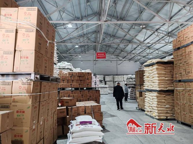 海南商贸公司：市场动态引航者