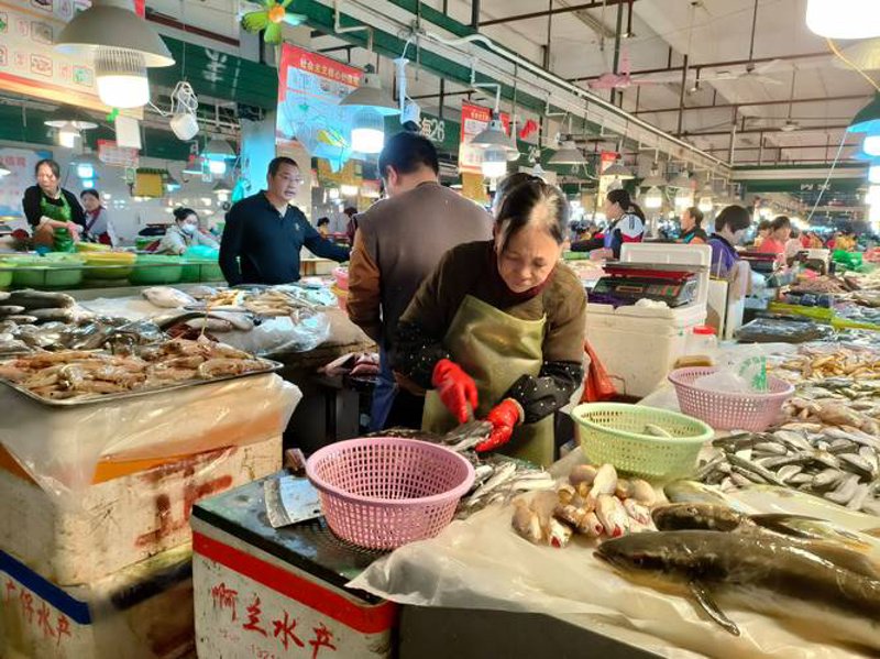 海口商品批发：机遇与挑战并行